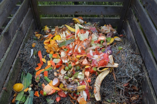 Déchets verts et biodéchets destinés au compost illustrant la fin de vie responsable