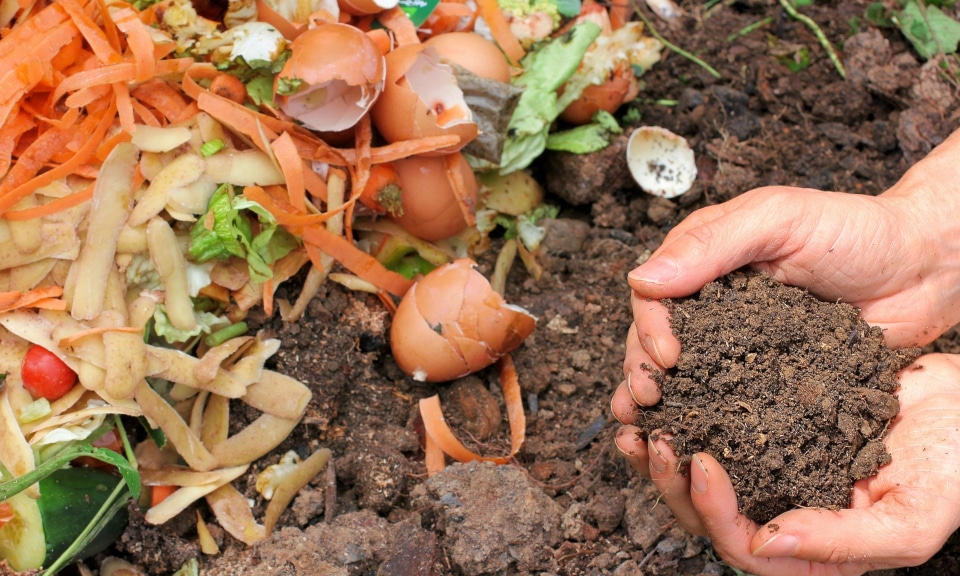 Compost domestique avec biodéchets et terre fertile illustrant la compostabilité réelle et la fin de vie responsable des produits ManaMani